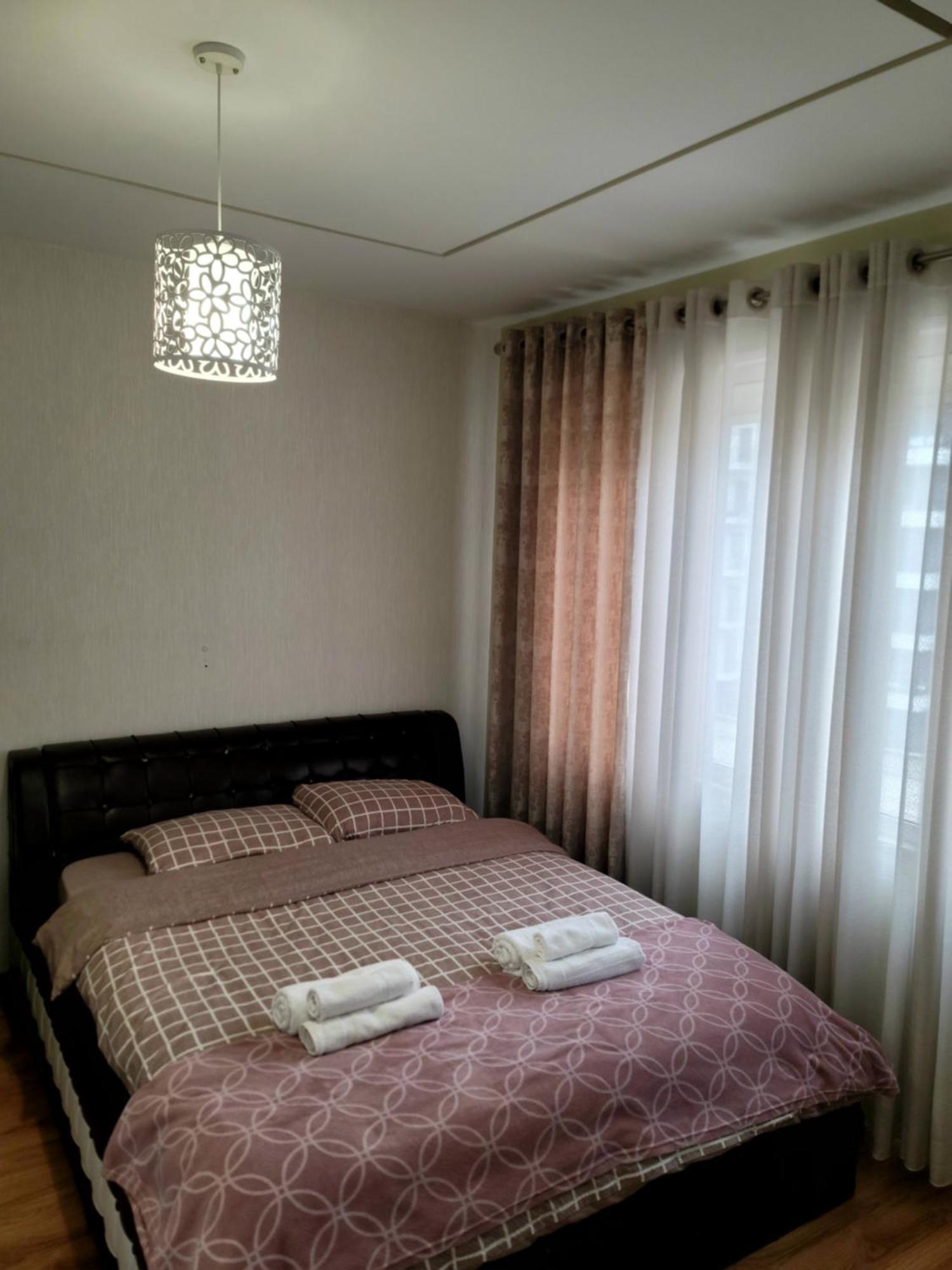 Helianthus, By Bloom In Tirana