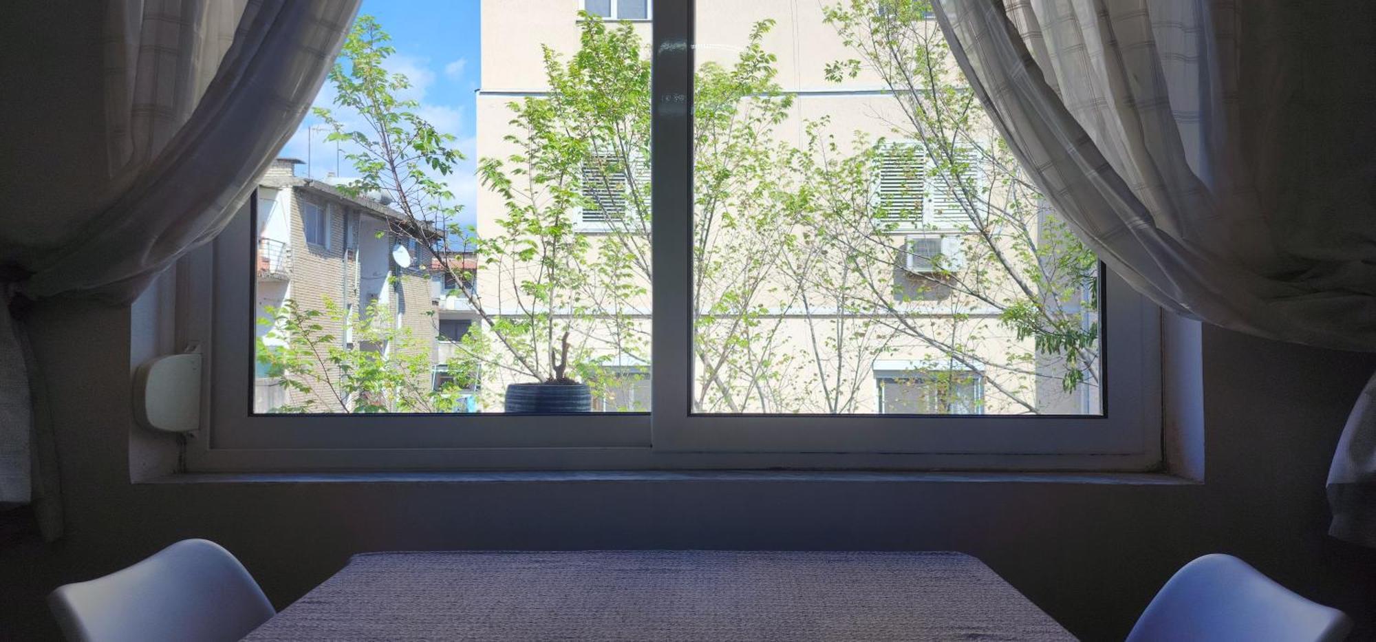 Helianthus, By Bloom In Apartamento