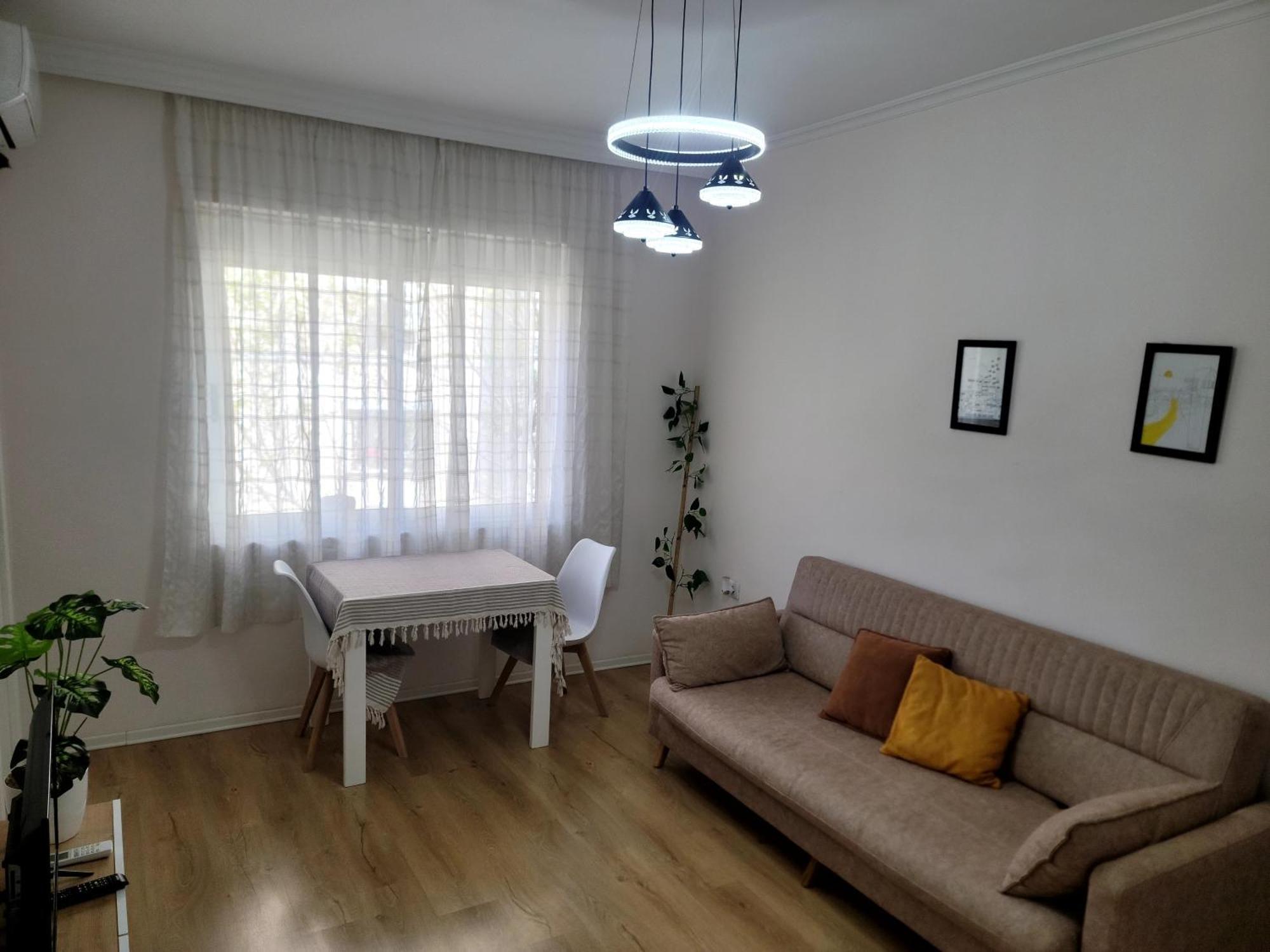 Helianthus, By Bloom In Apartamento *